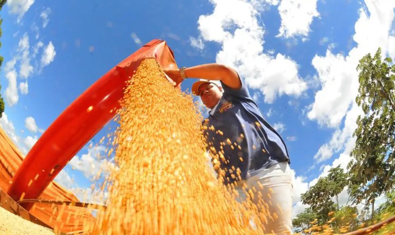 governo-do-tocantins-destaca-avanco-do-agro-com-projecao-da-safra-20252026-de-quase-10-milhoes-de-toneladas-de-graos
